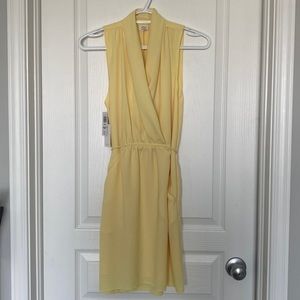 NWT Wilfred Sabine dress